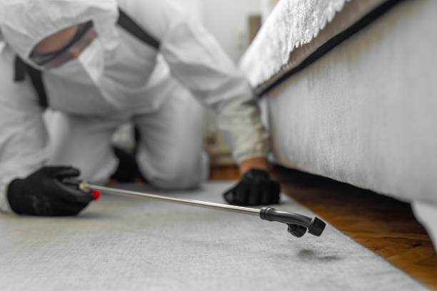 Professional Bed Bug Control technician working in Mattapoisett Center, MA