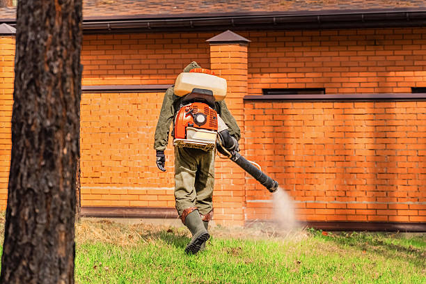 Trusted Termite Control service in Mattapoisett Center, MA - Nex Pest Control